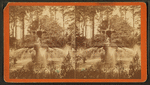 Fountain at Forsyth Park, Savannah, Ga.