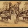 The Lightning Express. Savannah, Ga.