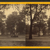 South Broad Street, west. Savannah, Ga.
