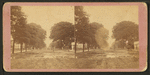 Bull Street, Savannah, Ga. [and Johnson Square]