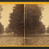 Bull Street, Savannah, Ga. [and Johnson Square]
