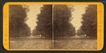 Bull Street, Savannah, Ga. [and Johnson Square]