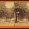 South Broad Street, Savannah, Ga.