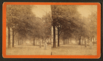 South Broad Street, Savannah, Ga.