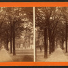 Bull Street, from Madison Square, Savannah, Ga.