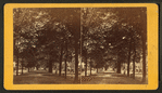 South Broad Street, Savannah, Ga.
