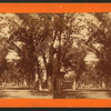 Mason Street, Savannah, Ga.