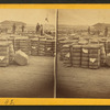 Cotton yard at C.R.R.