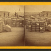 Cotton yard at C.R.R.