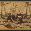African-American longshore men and bales of cotton on the dock.