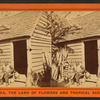 Uncle Jack and his home.