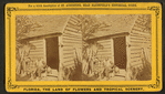 Uncle Jack, or the Oldest inhabitant of St. Augustine, Florida.