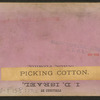 Picking cotton.