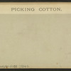 Picking cotton.