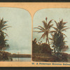 A picturesque Hawaiian railway scene