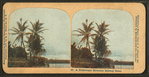 A picturesque Hawaiian railway scene