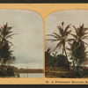 A picturesque Hawaiian railway scene