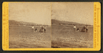 A group of Hawaiians on the beach, ships and town in the background
