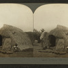 A typical grass hut, Hawaii.