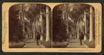 Queen's Hospital grounds, Honolulu, Hawaiian Islands