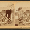 Group of natives eating poi [in front of thatched hut], Hawaiian Islands