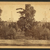 National Lincoln Monument, Springfield, Illinois. View from a point slightly east of north from the Monument, and across a ravine running east and west through Oak Ridge Cemetery.