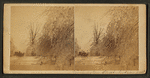 Clinton: carriages on Washington street and icy trees, after sleet storm, 1883.