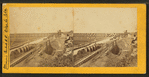 Illinois Central R.R. bridge, La Salle, Ill.