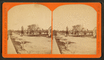 Elgin: a street view showing covered wagon.