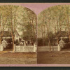 Home with a white picket fence and summer house, Geneseo.