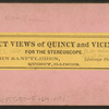 View of Quincy showing court house.