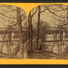 Railroad bridge (Chicago & Northwestern?) across the Des Plaines River.