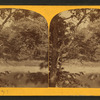 Scene on the Des Plaines River.