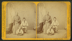 Royal Yeddo Japanese Troupe.