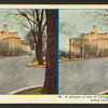 A glimpse of one of Chicago's famous drives and noted hotels.