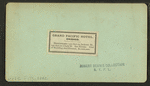 Stereoscopic views of hotels in Chicago.