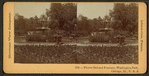 Flower bed and fountain, Washington Park, Chicago, Ill. U.S.A.