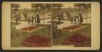 Lincoln Park, Chicago.