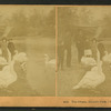The swans. Lincoln Park, Chicago, Ill. U.S.A.