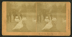 The swans. Lincoln Park, Chicago, Ill. U.S.A.