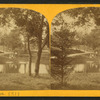 Lincoln Park.