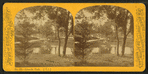 Lincoln Park.