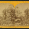 Arbor, P. Schuttler's grounds.