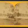 Union Park.