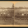 Sol's clock, Washington Park, Chicago, Ill. U.S.A.