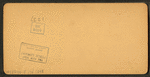 Flower beds, Washington Park, Chicago, Ill., U.S.A.