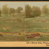 Flower beds, Washington Park, Chicago, Ill., U.S.A.