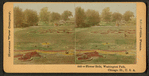 Flower beds, Washington Park, Chicago, Ill., U.S.A.