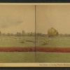 The Globe, in living plants, Washington Park, Chicago.