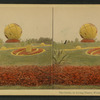 The Globe, in living plants, Washington Park, Chicago.